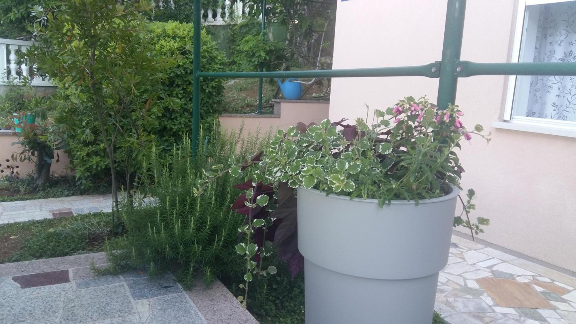 Apartment Anna Opatija